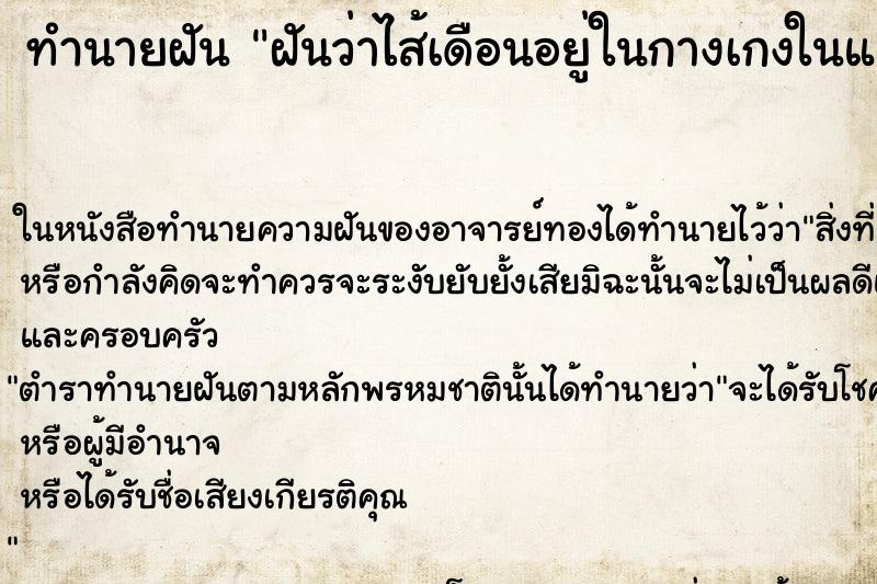 ทำนายฝันทำนายฝันฝันว่าไส้เดือนอยู่ในกางเกงในและไชทั่วร่างกาย